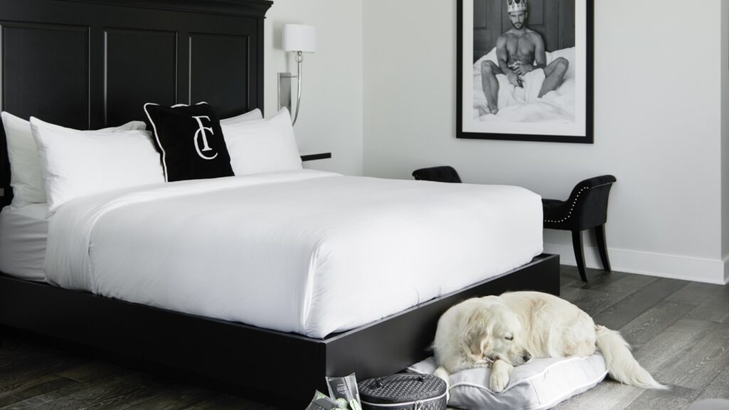 The Frontenac Club Luxury Ontario boutique hotel with dog bed