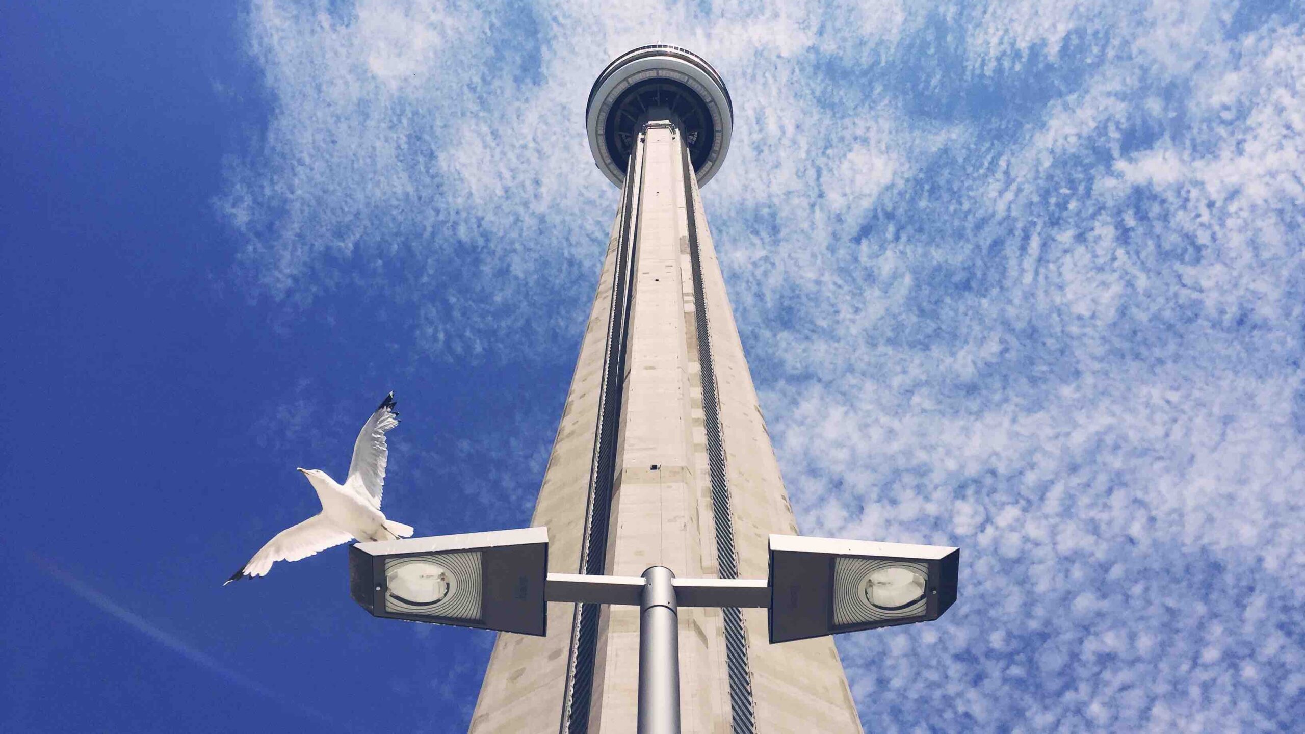 Toronto - scott-webb-CN Tower-unsplash - best places to visit in Ontario