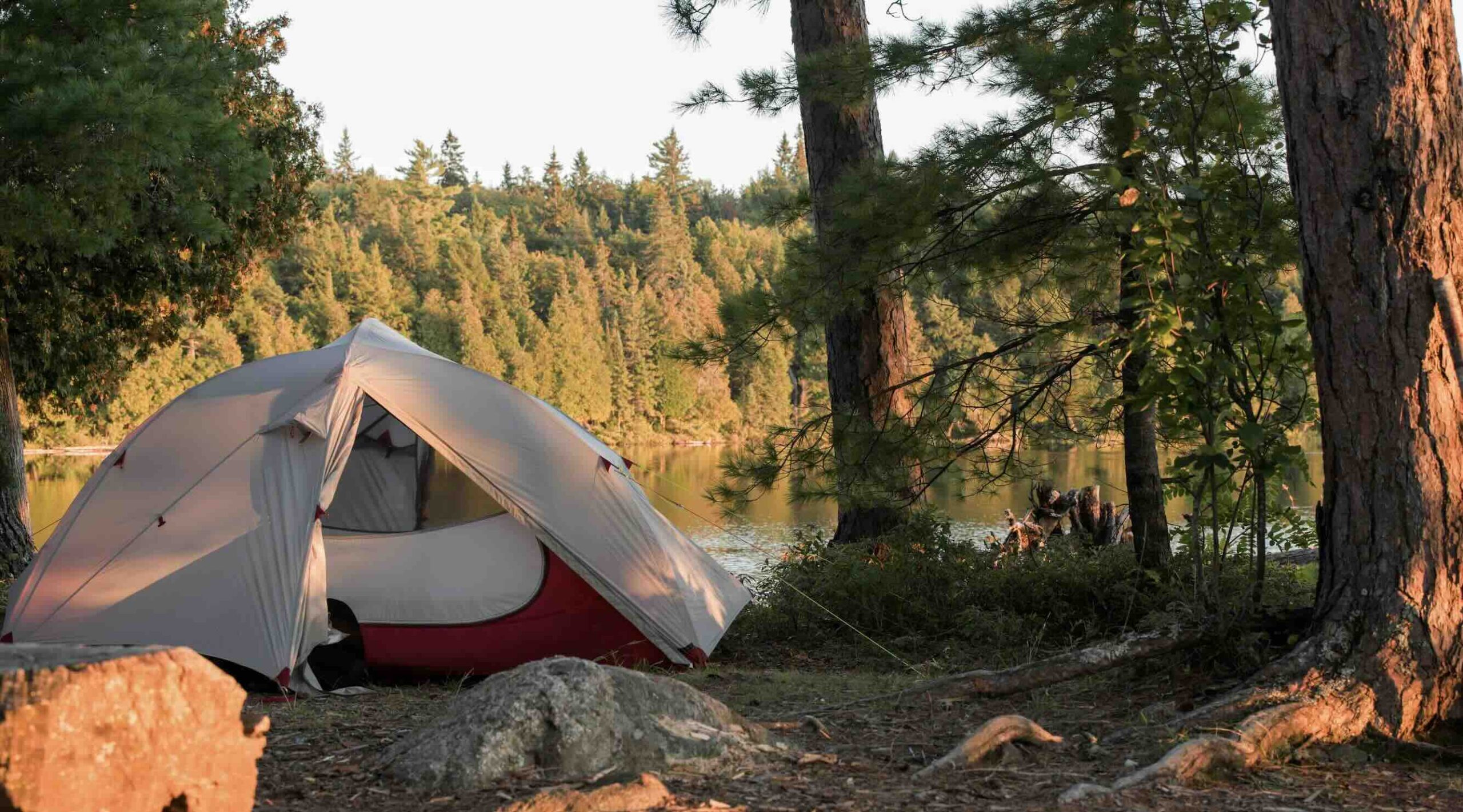 Camping in Algonquin Park shutterstock-M.L.Miller-Camping