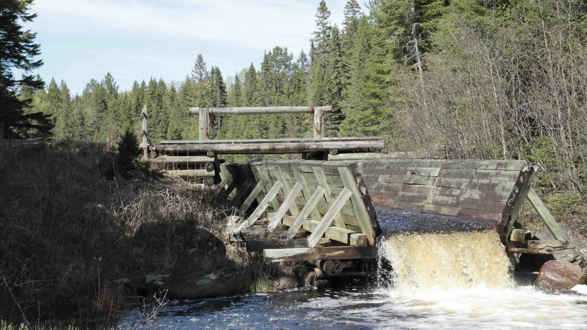 Algonquin Logging Museum Trail is one of the best things to do in Algonquin Park