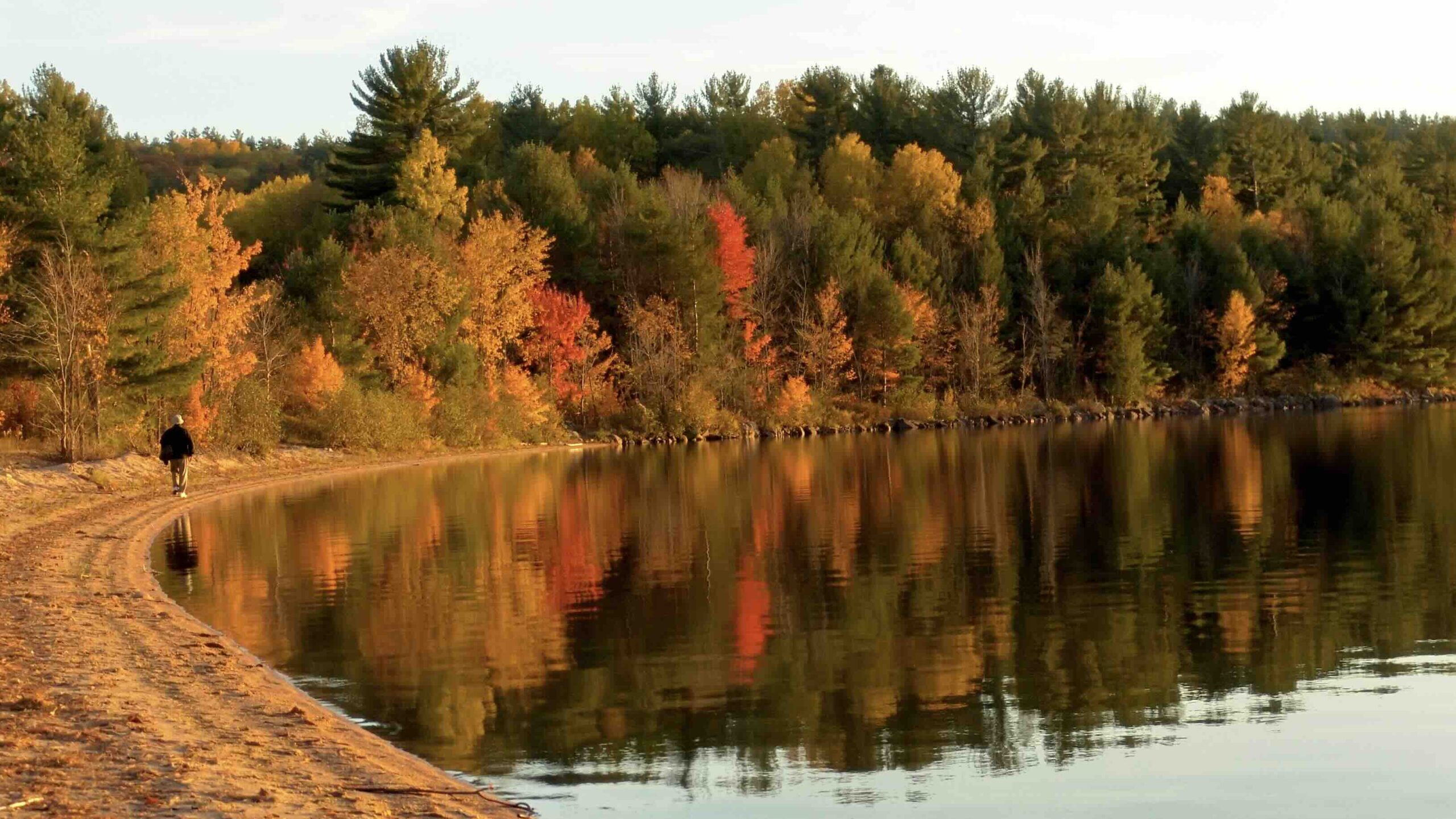 Autumn,Forest,On,The,Lake.,Fall,Colors,Reflecting,On,Water.