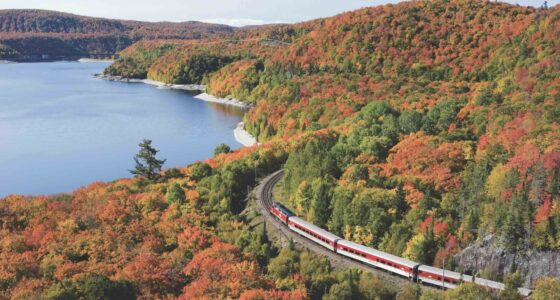 TourTrain ride one of the best things to do in Sault Ste Marie - Photo City of Sault Ste Marie