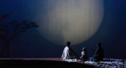 Canadian Opera Company Houston Grand Opera’s production of Madama Butterfly 2015 photo Lynn Lane copy