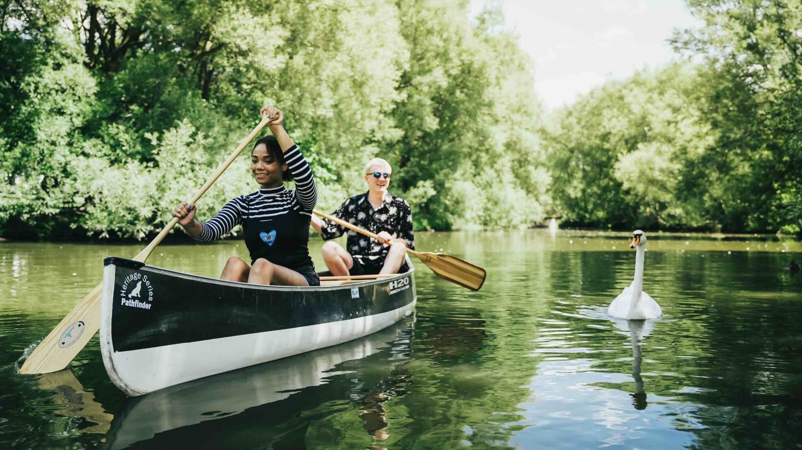 Paddle among the swans on the Avon River one of the best luxurious things to do in Stratford ON