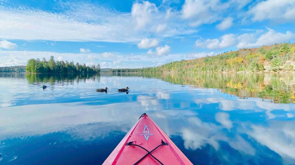 The Best Things To Do in Minden, The Heart of Haliburton County